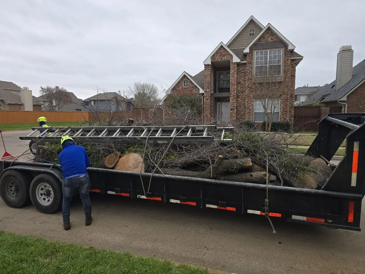 Expert Tree Pest Control with proper safety equipment in Egegik